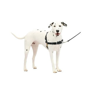 PetSafe�i�y�b�g�Z�[�t�j �C�[�W�[�E�H�[�N�n�[�l�X ���p ��������h�~ �U�� �g���[�j���O�p