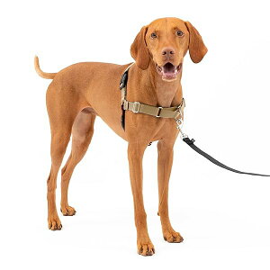 PetSafe�i�y�b�g�Z�[�t�j �C�[�W�[�E�H�[�N�n�[�l�X ���p ��������h�~ �U�� �g���[�j���O�p