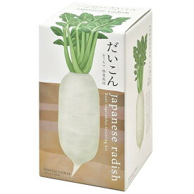 聖新陶芸 家庭菜園 簡単 栽培キット だいこん 室内 香草 野菜 栽培セット 約10cm おうちで根菜