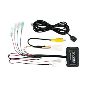 �f�[�^�V�X�e�� ���A�J�����ڑ��A�_�v�^�[ �f���JD:5(CV1W)�p �y�r���[�֑ؑΉ��z RCA100M Datasyst