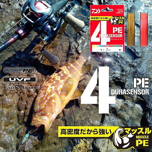 �_�C��(DAIWA) PE���C�� UVF PE�f�����Z���T�[X4+Si2 1.2�� 300m �R�[�������b�h