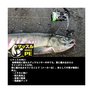 �_�C��(DAIWA) PE���C�� UVF PE�f�����Z���T�[X8+Si2 0.6�� 150m ���C���O���[��