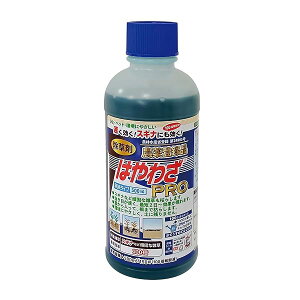 ���i�摜