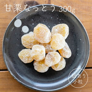 ÌIȂƂ 300g 󂠂   I XC[c fU[g  َq