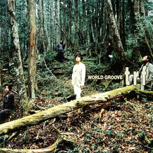 WORLD GROOVE (�A�i���O(12�C���`)2���g) (���񐶎Y����) - TRF Analog