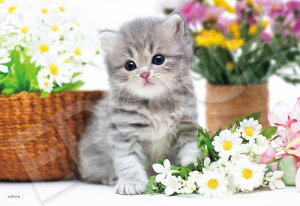 �G�|�b�N�ЁiEPOCH�j 300�s�[�X �W�O�\�[�p�Y�� ��������/�y�b�g �˂� �����܂��˂������ �i26×38cm�j 28-051s �̂�t�� �w���t�� �_�����t��