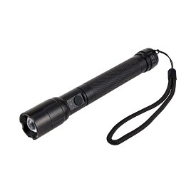 エルパ(ELPA) LED懐中電灯 350ルーメン 高輝度 爆光 明るい 乾電池式 電池残量表示機能 防水 IPX4 アルミライト 強力 防災 災害 停電 アウトドア キャンプ 登山 釣り 散歩 夜間作業 シルバー ハンドストラップ付 DOP-EP530