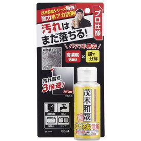 茂木和哉 極 強力水アカ洗剤 80ml プロ仕様 / シリーズ最強 / 高濃度研磨剤 × 酸 / 水アカ パワフル除去 / 浴室の鏡 蛇口 洗面台 シンク