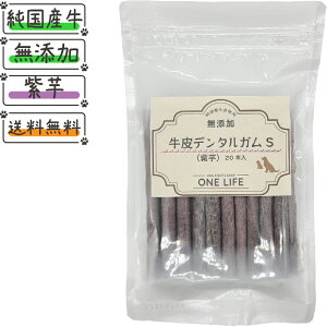 f^KS ()20{茢  Ygp { Y Y Y  f^K K Y ݂͂  ̂ ̂ OCt[ N