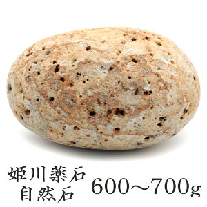 �P���� ������Y ���R�� 1�� 600-700g�O�� ����T�C�Y �����C�p ���p�r �V�R�� ���� �p���[�X�g�[�� �򉻃O�b�Y ���� �q�[�����O ���蕨 �M�t�g �v���[���g ���̓�
