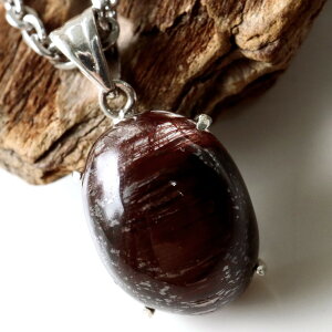 ^CK[` lbNX VR y_g `NH[c SILVER925 p[Xg[ ̓ 蕨 ^ d^ v[g uE j