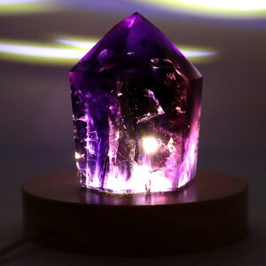 AWXg Zp |Cg LEDCgt 1_ uW oC[ABY   u  2 a TCY Amethyst VR p[Xg[ ̓ 蕨 Mtg v[g