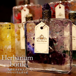 n[oE {g u VR   N t  a   u 킢 N ̓ 蕨 Mtg 蕨 ECXL[^ p[Xg[ ΂ L