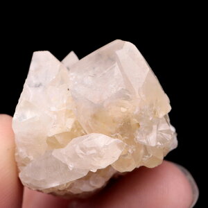 CG[ JTCg NX^[ _ 18g 1_ VR  p[Xg[ 򉻃ObY  q[O u u  calcite ̓ 蕨 Mtg v[g