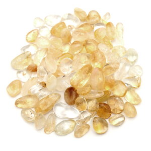 Vg   100g TCY AA VR ꐅ p[Xg[ 򉻃ObY lCp[c ޗ Wp[c  ̓ 蕨 v[g Mtg 蕨