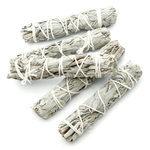 zCgZ[W oh X^Cv 5{Zbg 6-12g i A}  JtHjABY Z[W _ n[u White Sage