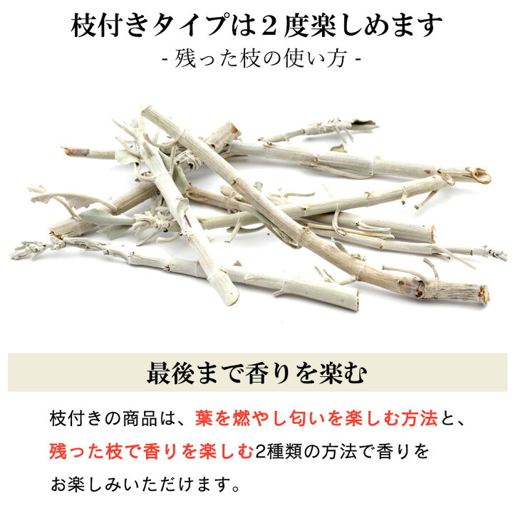 楽天市場】ホワイトセージ 枝付き 30g 選別済み 浄化用 カリフォルニア 