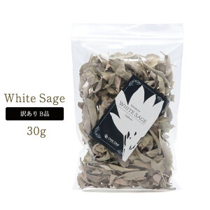 zCgZ[W NbV 󂠂 I Bi 30g _ i JtHjAY white sage Z[W̗t ׋C  ObY  hC  I[KjbN  