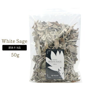 zCgZ[W NbV 󂠂 I Bi 50g _ i JtHjAY white sage