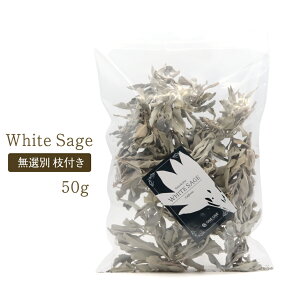 zCgZ[W }t NX^[ I 50g 򉻗p _ i JtHjAY ZCW [ white sage Z[W̗t ׋C  ObY  hC  I[KjbN  