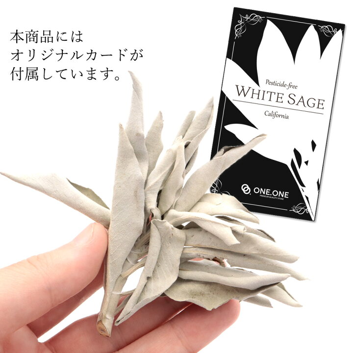 楽天市場】ホワイトセージ 枝付き クラスター 無選別 50g 浄化用 無 