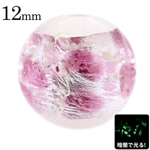 z^KX  sN zCg r[Y  1 12mm s F ~  Ƃڋ ق u g{ ANZT[ p[c  yY