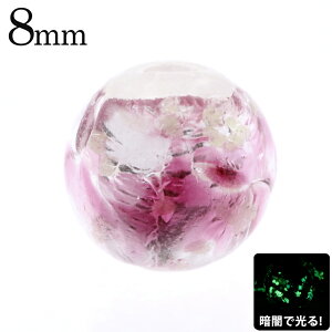 z^KX  sN zCg r[Y  1 8mm s F ~  Ƃڋ ق u g{ ANZT[ p[c  yY