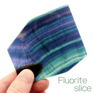 C{[ t[Cg XCX v[g R[X^[  g[ gC   u IuWF 蕨 u u F VR p[Xg[