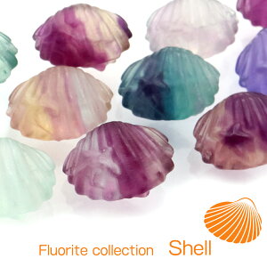 t[Cg L qgf r[Y u CeA CG[ O[ p[v sN VF 킢  1 _ VR p[Xg[