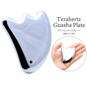 v[g ewcJbT x H^ TCY ECO e ewc z Terahertz ewcg p[Xg[ VR   C ̓ 蕨 Mtg ΂