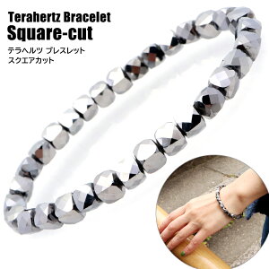 ewcz { uXbg XNGAJbg 6mm LL  x ʎdグ  N j  ̓ v[g Mtg 蕨