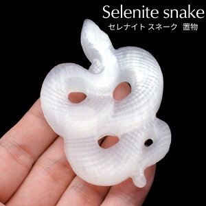  2025N x  u ZiCg LbcAC VRWvT ΍p  VN N 蕨 ւ u Xl[N  N VR p[Xg[