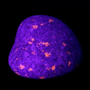 ���[�p�[���C�g ���� 34g �V��̍z�� �A�����J �~�V�K���B�Y 1�_���� �V�R�� �p���[�X�g�[�� �u���b�N���C�g�t�� �N���X�}�X