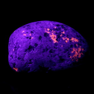 ���[�p�[���C�g ���� 39g �V��̍z�� �A�����J �~�V�K���B�Y 1�_���� �V�R�� �p���[�X�g�[�� �u���b�N���C�g�t�� �N���X�}�X