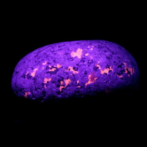 ���[�p�[���C�g ���� 70g �V��̍z�� �A�����J �~�V�K���B�Y 1�_���� �V�R�� �p���[�X�g�[�� �u���b�N���C�g�t�� �N���X�}�X