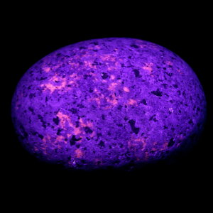 ���[�p�[���C�g ���� 99g �V��̍z�� �A�����J �~�V�K���B�Y 1�_���� �V�R�� �p���[�X�g�[�� �u���b�N���C�g�t�� �N���X�}�X