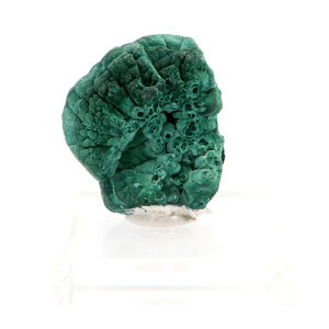 }JCg  1_ 86g t RSY Malachite E VR  ̓ 蕨 Mtg v[g