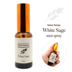 zCgZ[W  Xv[ 30ml A} Z[W Xv[ lC`[es[ ~Xg Rf  򉻗p ~Xg  White sage { ̓ 蕨 Mtg v[g