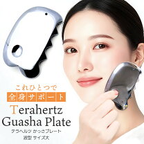 楽天市場】カッサ テラヘルツの通販 