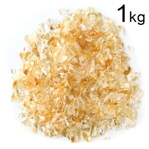 Vg   { TCY 1kg ܂Ƃߔ  VR p[Xg[ 򉻃ObY lCp[c ޗ Wp[c 