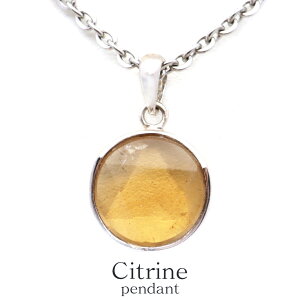 Vg lbNX VR y_g Z䊐 NH[c F  p[Xg[ SILVER925 1_ ̓ v[g Mtg P[Xt