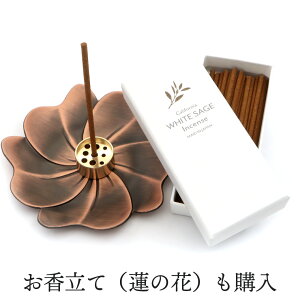 zCgZ[W 򉻗p   XeBbN 30{ I[KjbN VR100% { XeBbN A} CZX ~j X}bVO q[O   ̓ v[g M