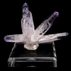 xNX AWXg |Cg NX^[ 61g LVRY  1_ c[\Wi  VR p[Xg[  W{ z t