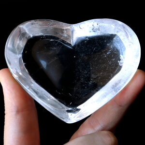  M 򉻎M 󂯎M n[g^ 161g v[g NX^NH[c uWY  q[O  VR p[Xg[ 4 a