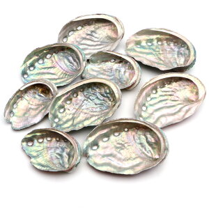 Lk p[c W AoVF 10 TCYMix 4-6cmO   VF ޗ   nhCh H VR L f pEAVF