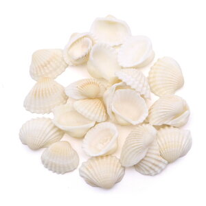 Lk p[c W nCKC 30g STCY 1-2cmO 񖇊L DL VF ޗ   nhCh H VR nCL f