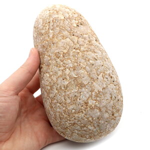 P Y R 1.4kg TCY 1_ Cp pr VR  p[Xg[ 򉻃ObY  q[O v[g