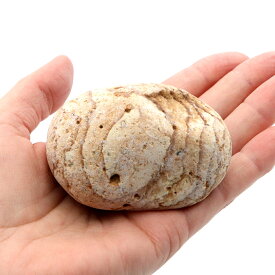 姫川薬石 糸魚川産 自然石 174g 手のひらサイズ 1点もの お風呂用 多用途 天然石 原石 パワーストーン 浄化グッズ 癒し ヒーリング プレゼント クリスマス