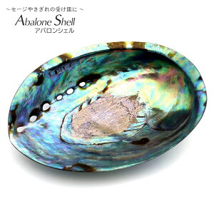 AoVF 򉻎M 1 pEAVF Lk j[W[hY zCgZ[W pTgp̎󂯎M X}bWO ґz K   ArL Avalon shell  ̓ 