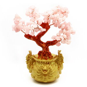  ^ [YNH[c g  u CeA ^F J^ ɐF  ̓ 蕨 Mtg v[g  ̒u C  x ^C㏸ hS VR 